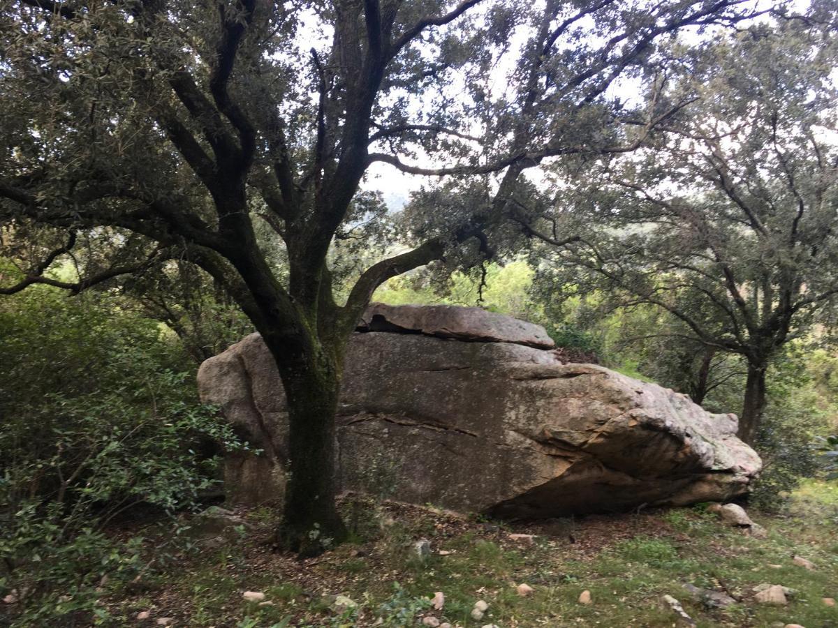 Agriturismo La Casa Delle Fate Loiri Porto San Paolo Bagian luar foto