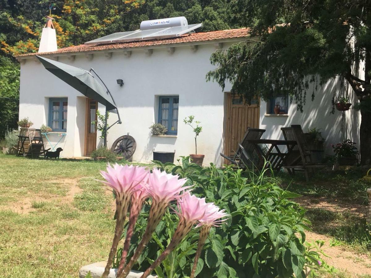 Agriturismo La Casa Delle Fate Loiri Porto San Paolo Bagian luar foto